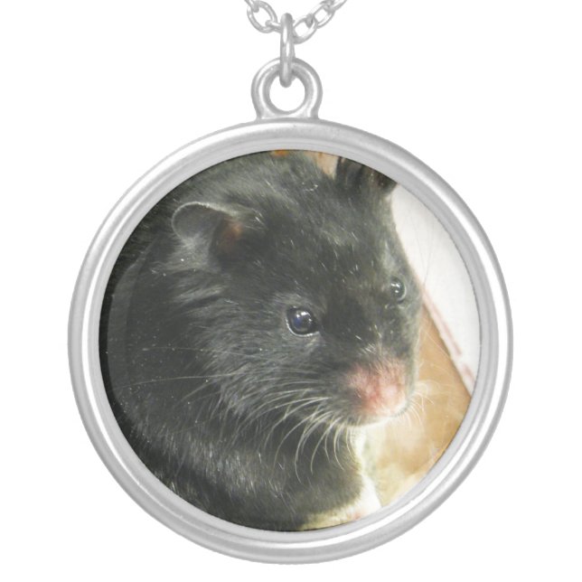 Black Hamster Photo Silver Plated Necklace (Front)