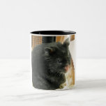 Black Hamster Two-Tone Coffee Mug