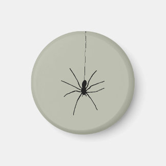 Black Hanging Spider on Ash Gray Color Magnet