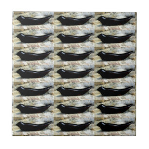 black harbor seal tile