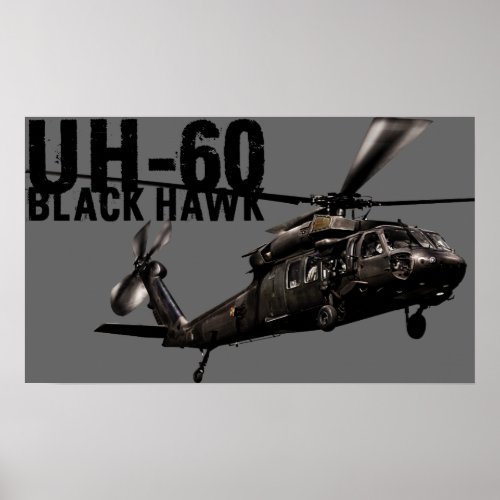 Black Hawk Poster