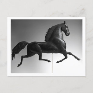 Black Hawk Weathervane Postcard