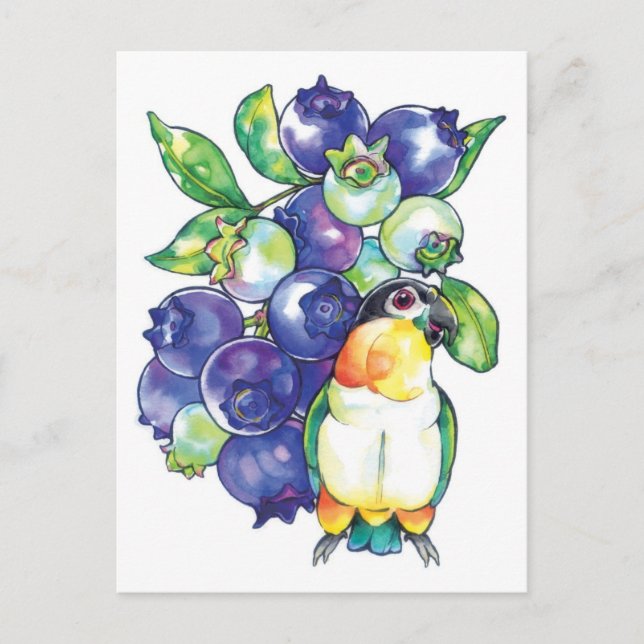 Black Head Caique with Blueberry Postcard (Front)