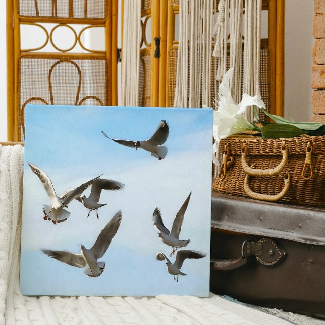 Black Headed Gulls Of The Bosphorus Art (Creator Uploaded)