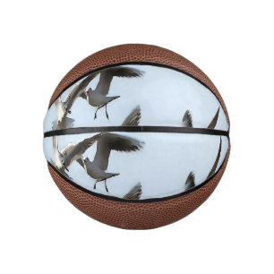 Black Headed Gulls Of The Bosphorus Art Mini Basketball
