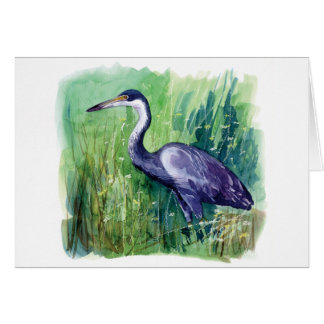 black headed heron cards