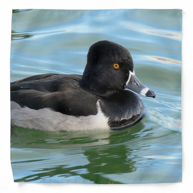 Black Headed Ring-necked sea diving duck Ringbill Bandana (Front)