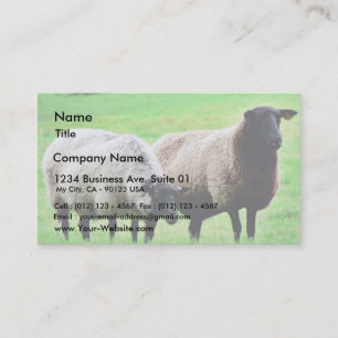 Black Headed Sheep Business Card