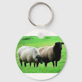 black-headed-sheep keychain