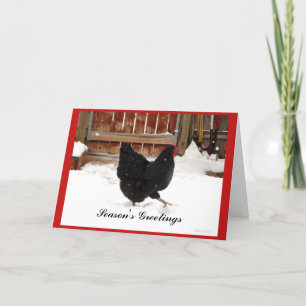 Black Hen Walking In Snow Holiday Greeting Cards