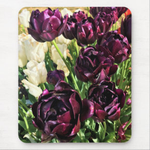 Black Hero Tulips, Oregon Mouse Pad