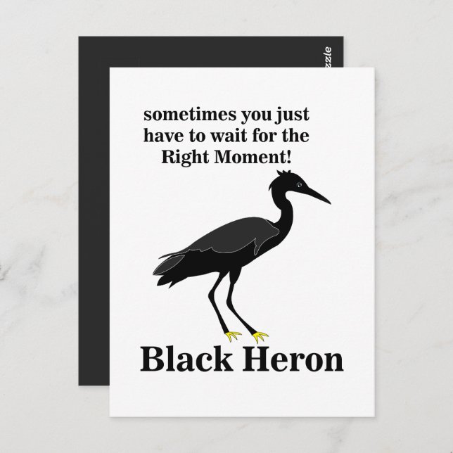 Black Heron Egret Bird Wildlife Postcard (Front/Back)