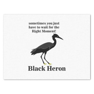 Black Heron Egret Bird Wildlife