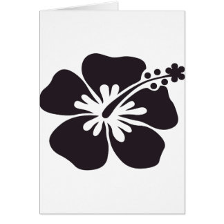 black hibiscus flower cards