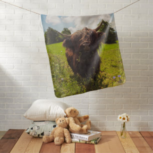 Black highland cow grazing green field sun light baby blanket