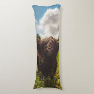 Black highland cow grazing green field sun light body pillow