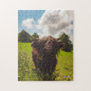 Black highland cow grazing green field sun light jigsaw puzzle