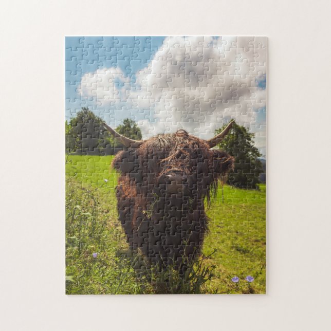 Black highland cow grazing green field sun light jigsaw puzzle (Vertical)