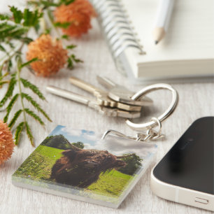 Black highland cow grazing green field sun light keychain