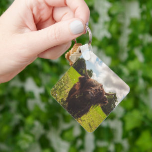 Black highland cow grazing green field sun light keychain