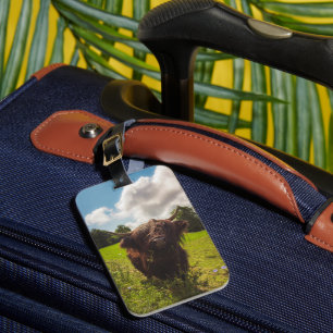 Black highland cow grazing green field sun light luggage tag
