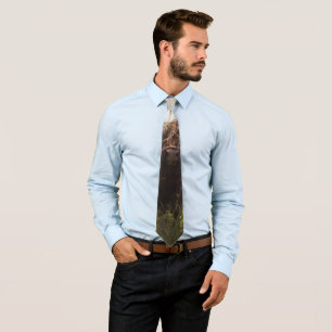 Black highland cow grazing green field sun light neck tie