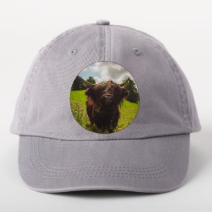 Black highland cow grazing green field sun light patch