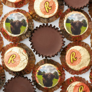 Black highland cow grazing green field sun light reese's peanut butter cups
