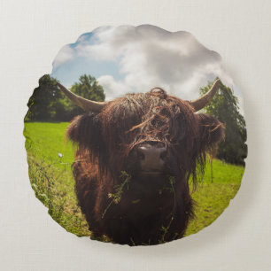 Black highland cow grazing green field sun light round pillow
