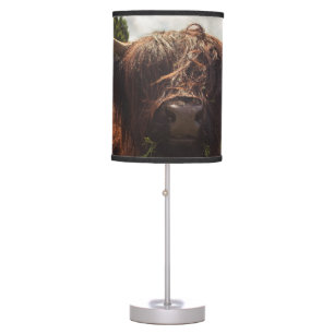 Black highland cow grazing green field sun light table lamp