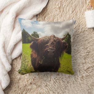 Black highland cow grazing green field sun light throw pillow