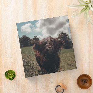 Black highland Scottish cow grazing vintage retro 3 Ring Binder