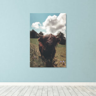 Black highland Scottish cow grazing vintage retro Canvas Print