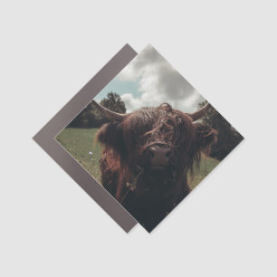 Black highland Scottish cow grazing vintage retro Car Magnet