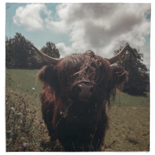 Black highland Scottish cow grazing vintage retro Cloth Napkin