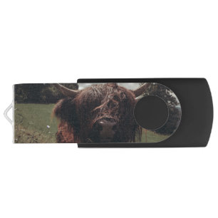 Black highland Scottish cow grazing vintage retro Flash Drive