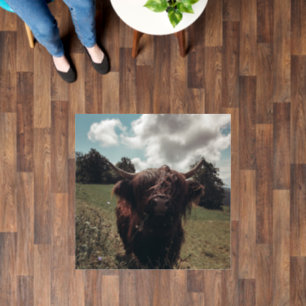 Black highland Scottish cow grazing vintage retro Floor Decals