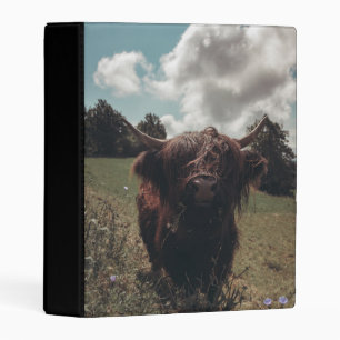 Black highland Scottish cow grazing vintage retro Mini Binder