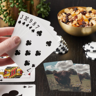 Black highland Scottish cow grazing vintage retro Poker Cards