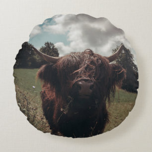 Black highland Scottish cow grazing vintage retro Round Pillow