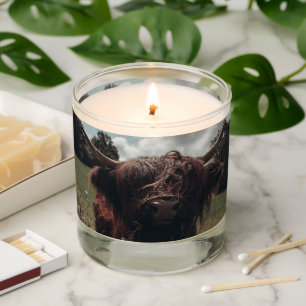 Black highland Scottish cow grazing vintage retro Scented Candle