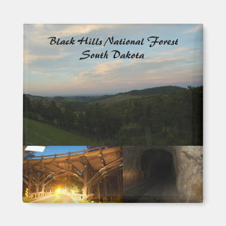 Black Hills National Forest Magnet