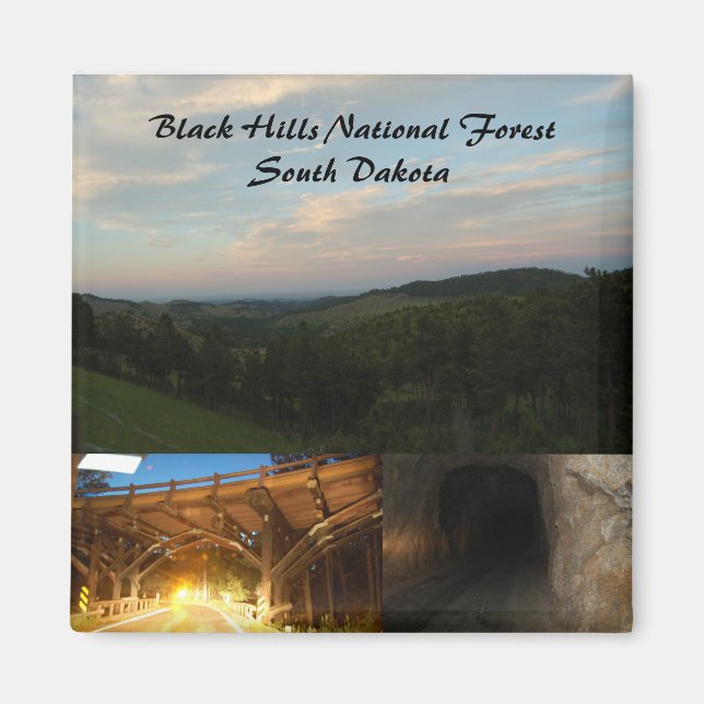 Black Hills National Forest Magnet (Front)