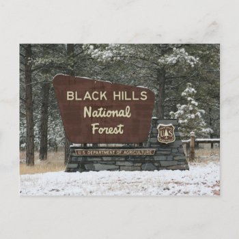 Black Hills National Forest Postcard by Scotts_Barn at Zazzle
