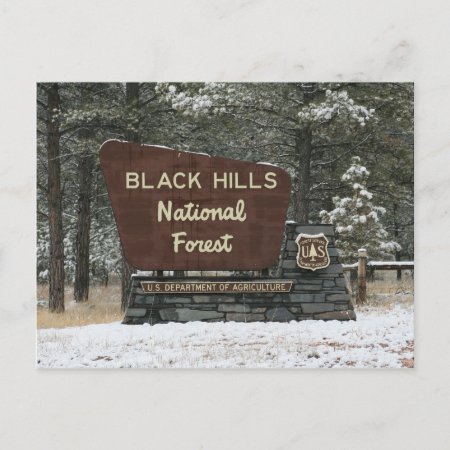 Black Hills National Forest Postcard