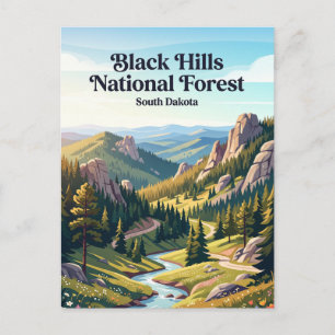 Black Hills National Forest South Dakota Postcard