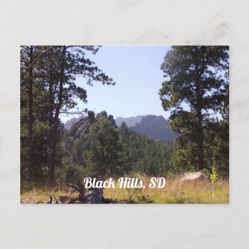 Black Hills South Dakota Postcard