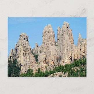 Black Hills, South Dakota Postcard