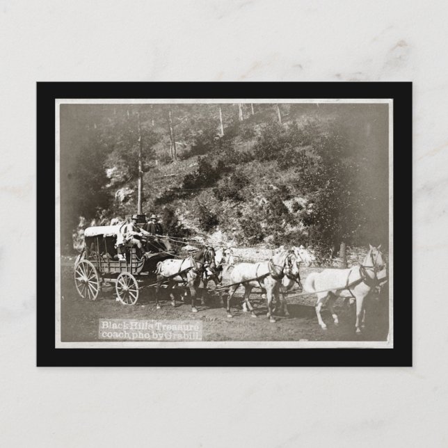 Black Hills Treasure Coach Vintage Postcard (Front)