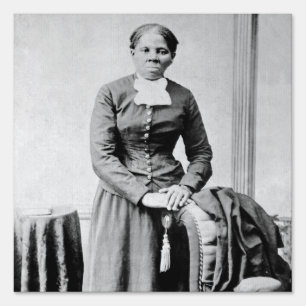 Black History Icons: Harriet Tubman, Civil Rights Sign